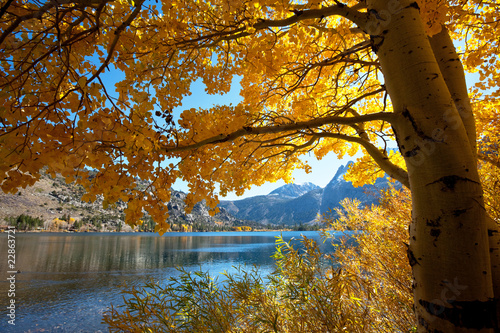 Fototapeta Autumn lake
