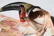 Russian money in a horn of plenty
