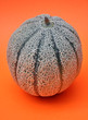 Frutta melone italiano