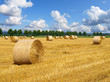 Foto: Erntezeit Erntezeit