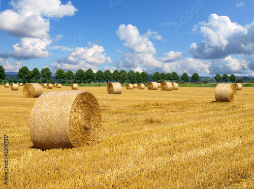 Foto: Erntezeit Erntezeit