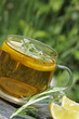 tisana