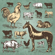 farm animals vintage set (vector) farm animals vintage set (vector)