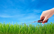 Photo: cutting grass with scissors cutting grass with scissors