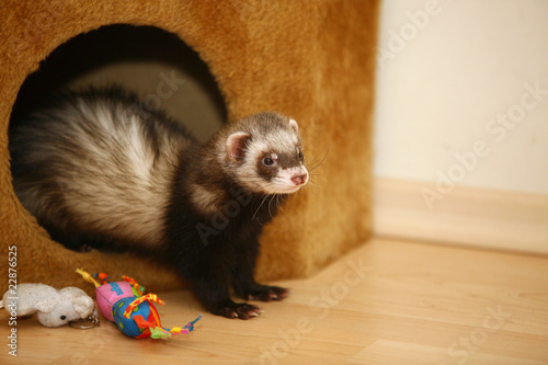 Photo: Lilo Lilo