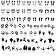 Collection of shoeprint, footprint, animal and bird trails