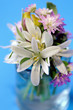 Spring flowers bouquet