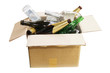 Empty Bottles in Cardboard Box