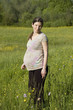 Pregnant woman on the meadow