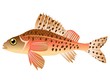ruffe ruffe