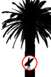 Foto: surf verbotschild surf verbotschild