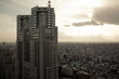 Tokyo Cityscape