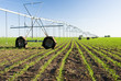 center pivot irrigation system