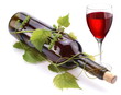 Wine bottle, glass of red wine and a vine.