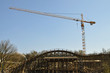 Grue du parc, Hollande Grue du parc, Hollande