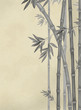竹
