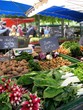 Bettes du marché Bettes du marché