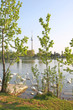 An der Alten Donau / Wien
