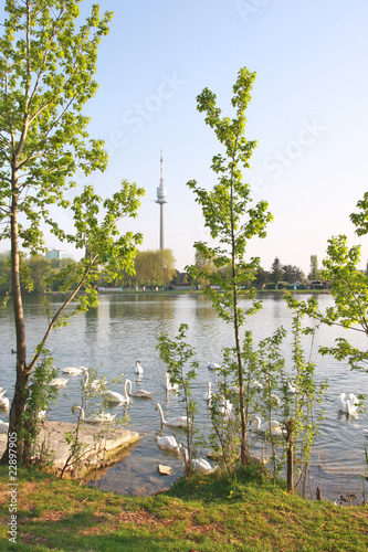 Photo: An der Alten Donau / Wien An der Alten Donau / Wien