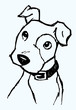 Curious Dog Sketch Curious Dog Sketch