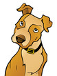 Curious Cartoon Dog Curious Cartoon Dog