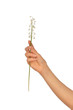 lily of the valley