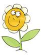 Funny camomile