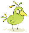 Vektor: Green crazy bird Green crazy bird
