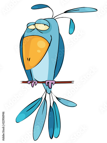 Vektor: Blue bird Blue bird