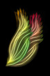 Pair of wings