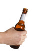 Bier - Suchtproblem?