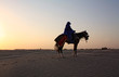 Rider in the Sahara desert