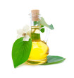 Jug with and a beautiful white flower on a branch Jug with and a beautiful white flower on a branch
