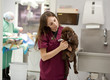 at a busy veterinarian practice