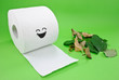 Toilet Paper Substitute