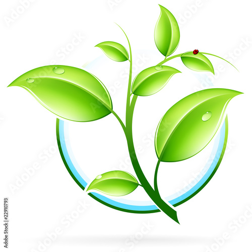 ECO icon