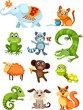 animal set animal set