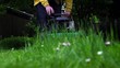 Video: Mann bei der Gartenarbeit (Rasen mähen) Mann bei der Gartenarbeit (Rasen mähen)