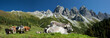 Panorama in den Kalkalpen