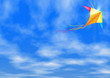 The kite