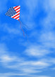 The kite