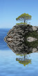 tree on top of the mountain