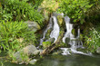 Photo: Waterfall Waterfall