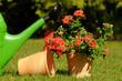 Gießkanne mit Blume und Blumentopf