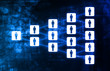 Social Networking