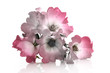 Bouquet romantique Bouquet romantique