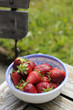 Un bol de fraises blanc sur une table en bois a l'exterieur Un bol de fraises blanc sur une table en bois a l'exterieur