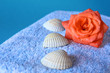 Foto: Wellness Wellness