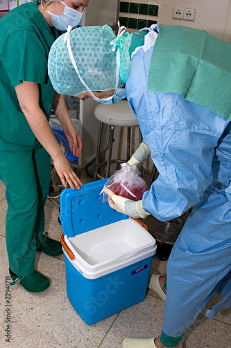 Photo: Nierentransplantation31 Nierentransplantation31