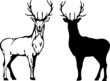 vector deer